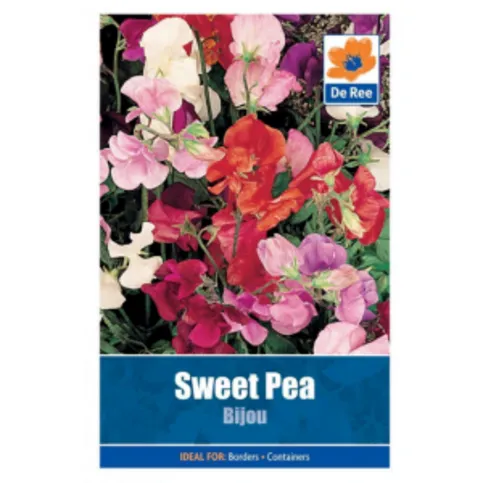 Packet Of Sweet Pea Bijou Flower Garden Seeds 22 Pack