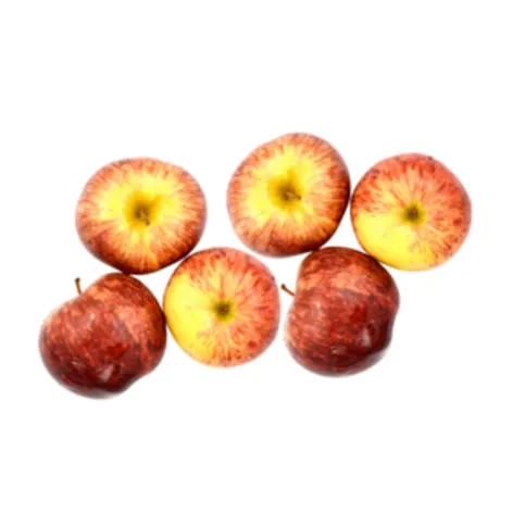 The Greengrocer Gala Apples 6 Pack