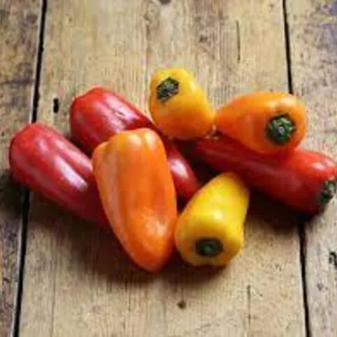 The Greengrocer Sweetbite Peppers 