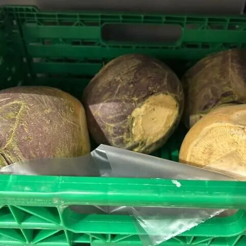 Turnip Single