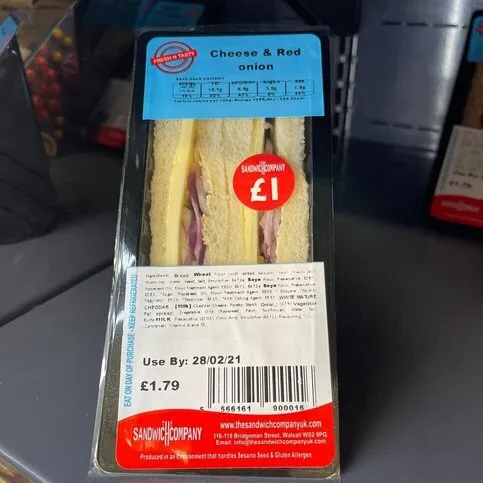Cheese and Red Onion Sandwich