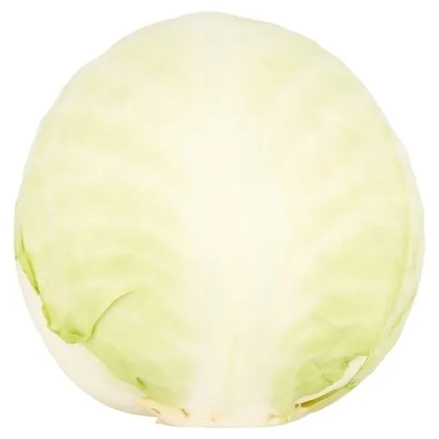 White cabbage
