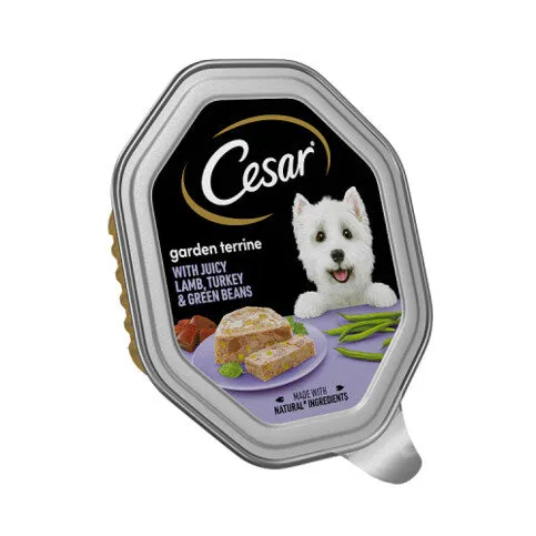 CesarGarden Terrine Dog Food Tray Lamb, Turkey & Green Beans in Loaf 150g