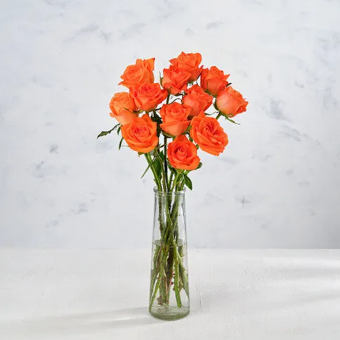 Co-op Fairtrade Roses