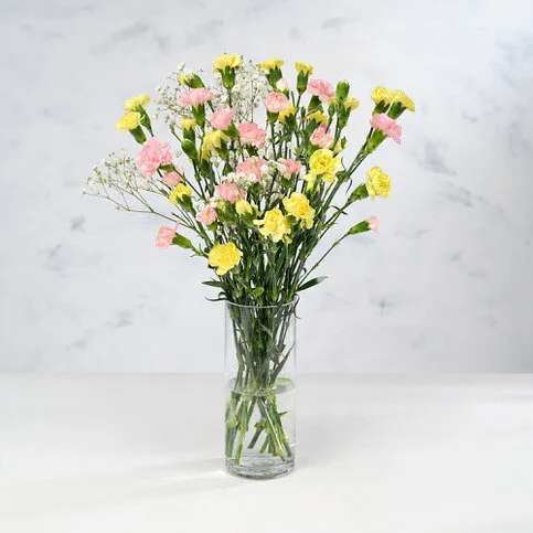 Co-op Florist Pastel Spray Carnation