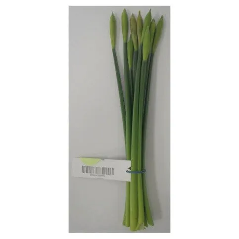 Daffodils