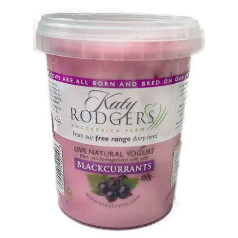 Katy Rodgers Live Natural Yogurt Blackcurrants 490g