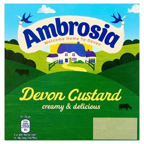 Ambrosia Custard Pots 4 x 125g