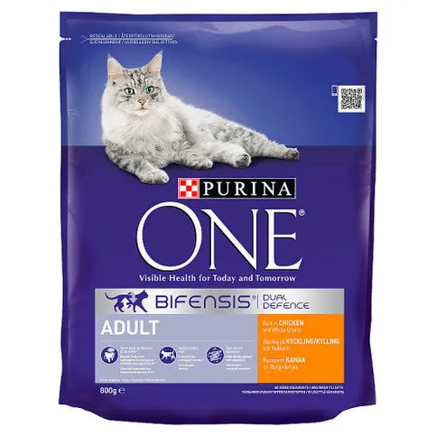 Purina ONE Adult Cat Rich in Chicken Dry Food 800g