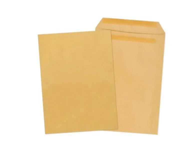 C5 Manilla Envelopes 10 Pack