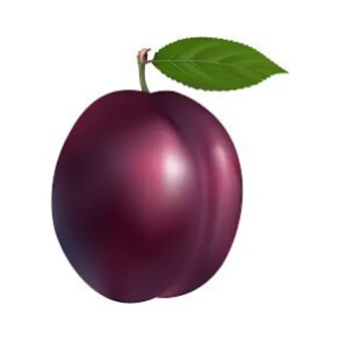 1st Fresh Foods Plums 8 Pack