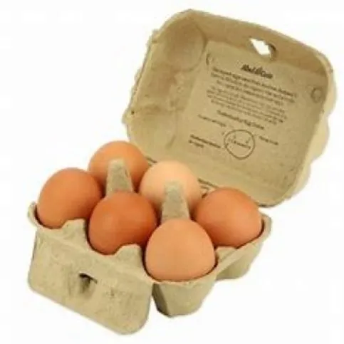David B Fresh Free Range Eggs Large 6 Pack
