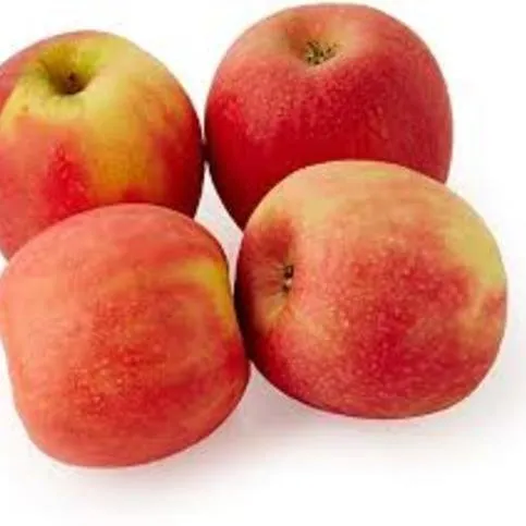 Farm Fresh Pink Lady Apples 4 Pack