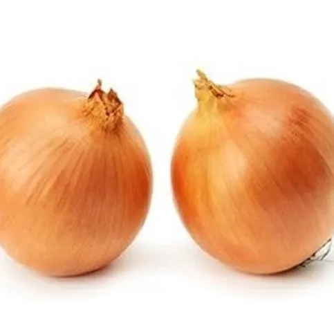 Farm Fresh Cooking Onions Bag