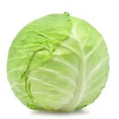 Fresh Green Cabbage