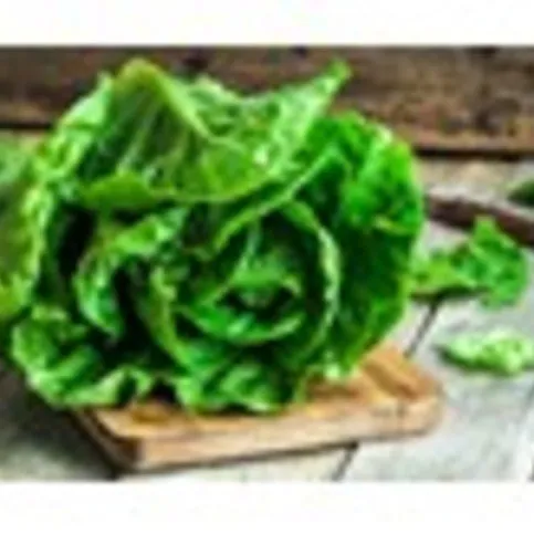 Little Gem Lettuce 2 Pack