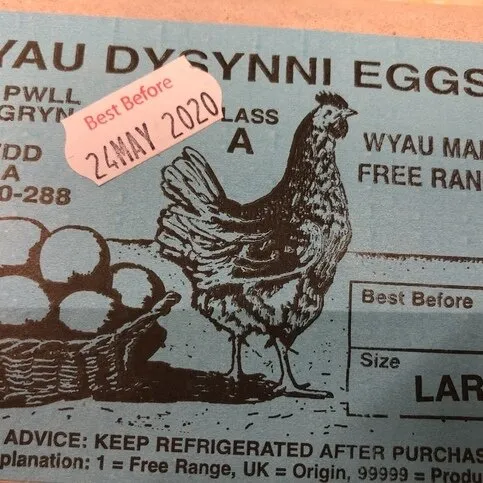 Wyau Dysynni Large Eggs 6s